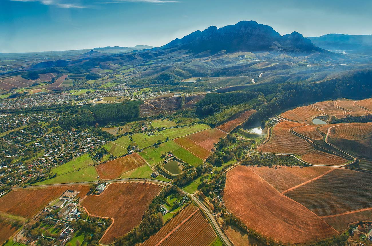 South African wine