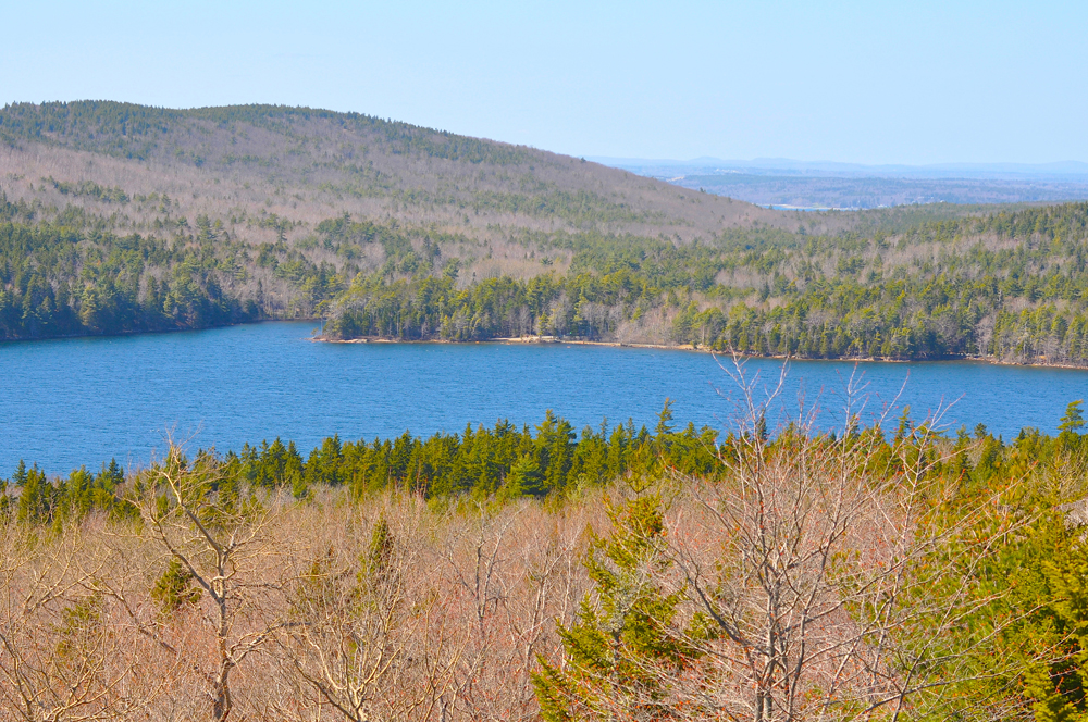 Photos: Take a Tour of Maine's Spectacular Acadia National Park | Live ...