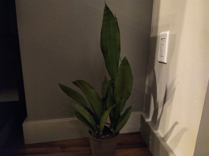 KEY2 low light camera sample