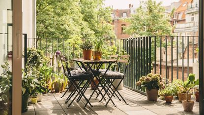 How to compost in NYC