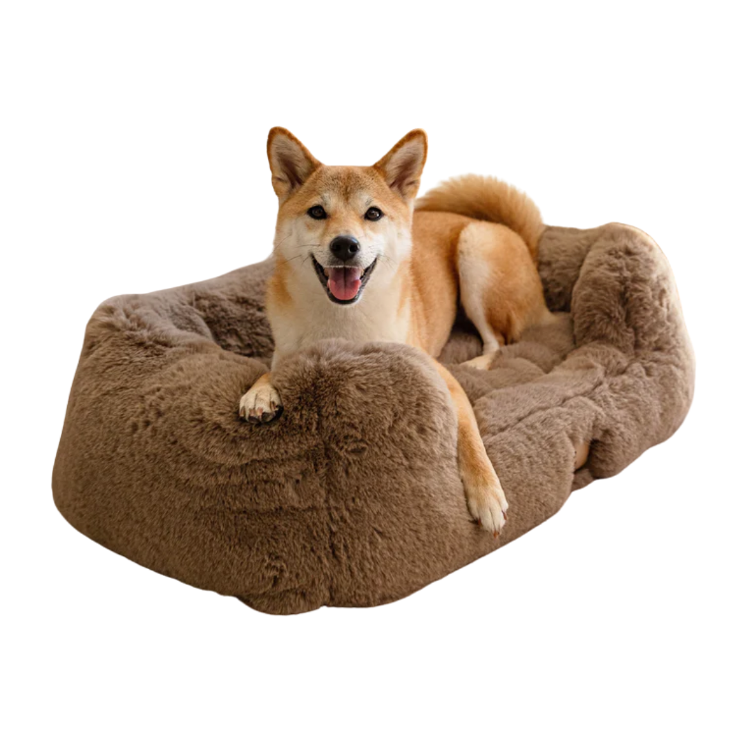 The Lola Pet Bed