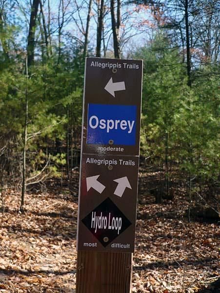 A typical trail marker helps with the navigation at Raystown.