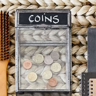 coins with dairy and brush