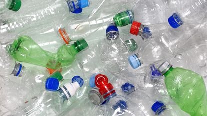 Pile of plastic water bottles.