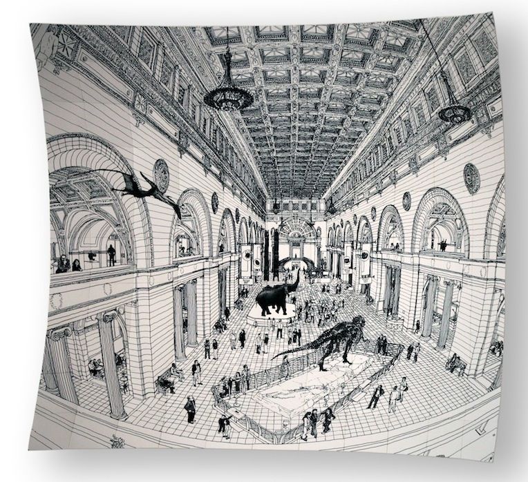 Field Museum Drawing