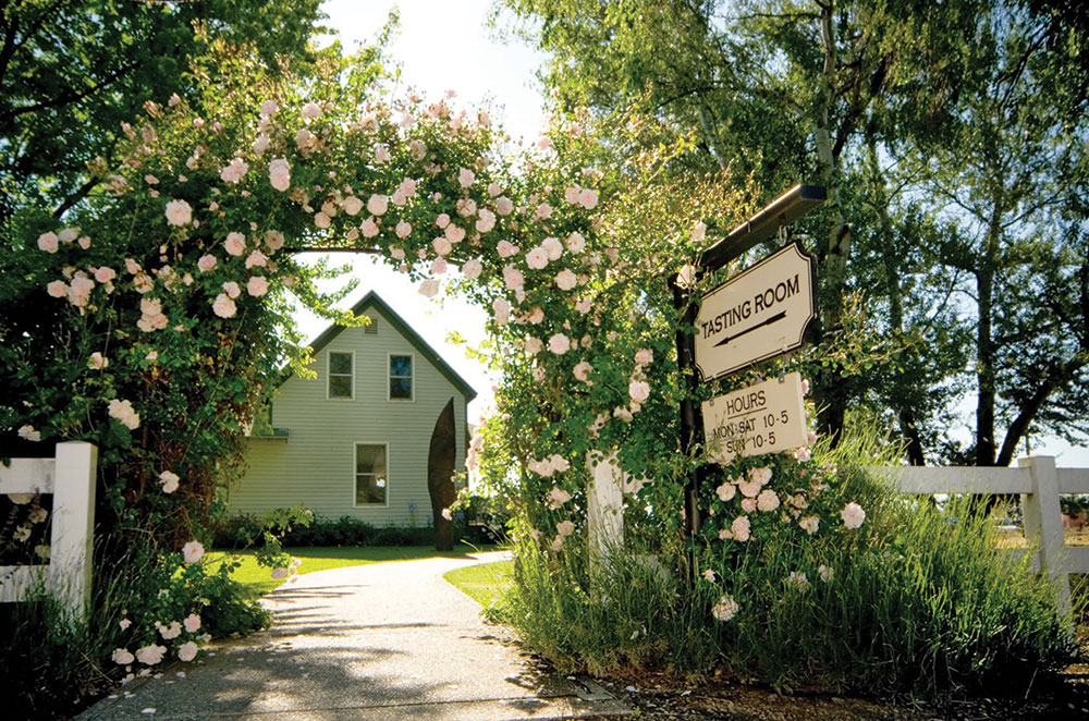 Washington Cabernet wine