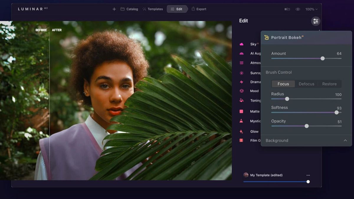 image shows screenshot of Luminar AI