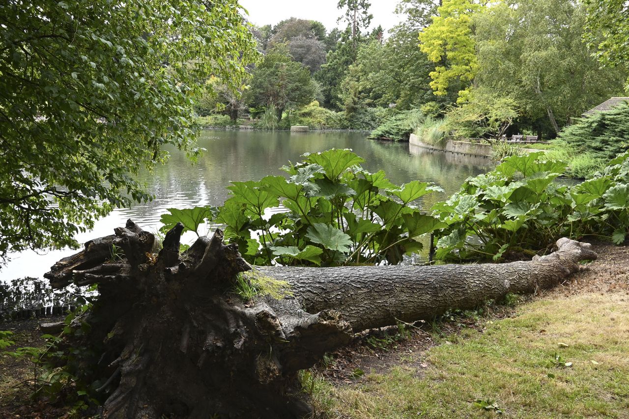 Landscape shot with the Nikkor Z DX 24mm f/1.7 lens