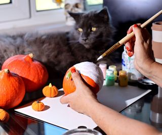 Two hands seen painting a small pumpkin white with a grey cat in the background