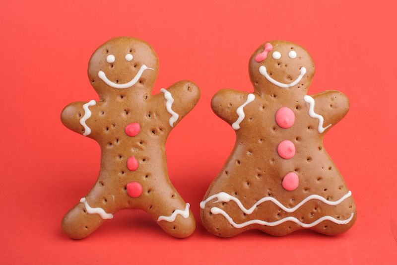 Two gingerbread cookies