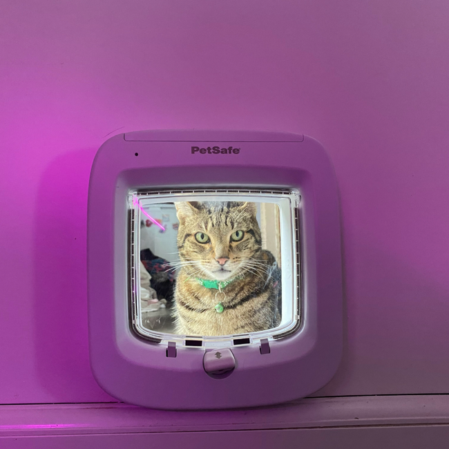 View of The 5 best microchip cat flaps, tested and approved by real pet parents ...