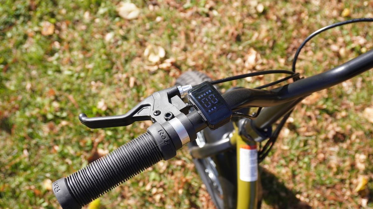 Razor EcoSmart Cargo outdoors