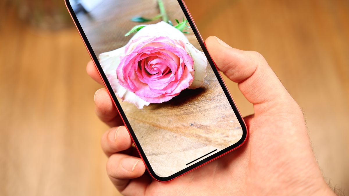 A photo of the iPhone 14 in red
