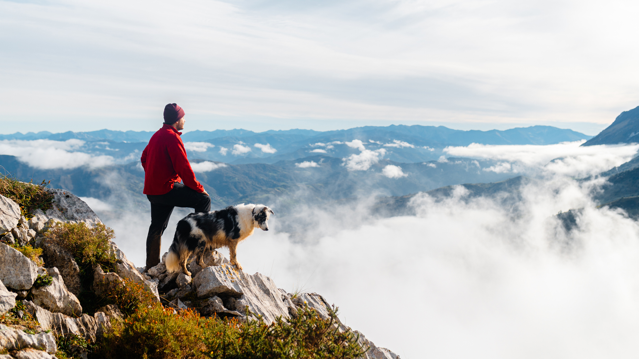 Hiker with his dog in the mountains