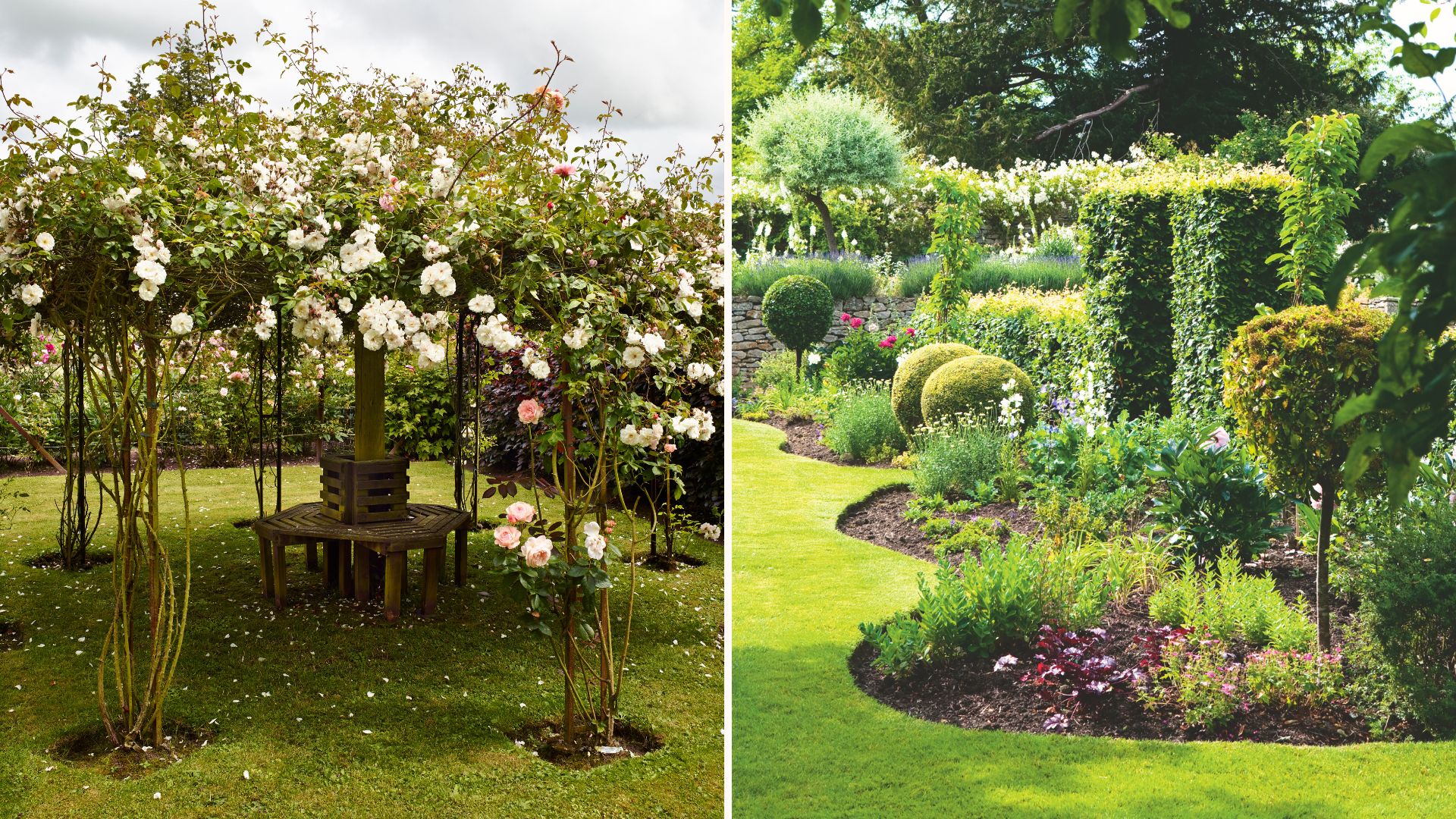 Split image of garden with trained rose trees and shaped flower beds with box hedges and topiary trees