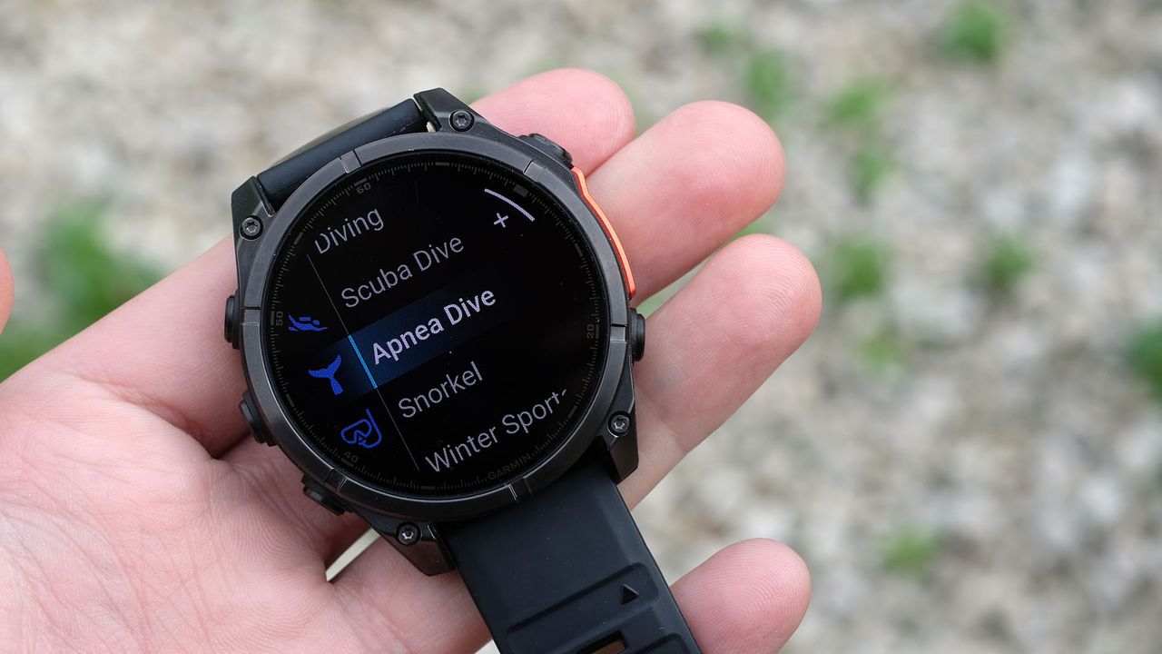 Garmin Fenix 8