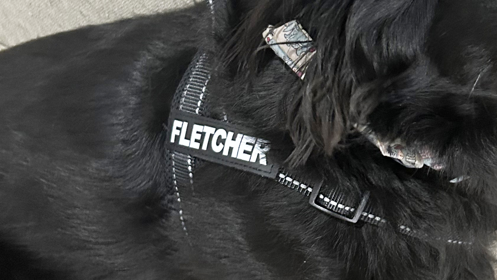 Cricut Joy 2 in use and product lifestyle