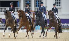 weg-dressage-web.jpg