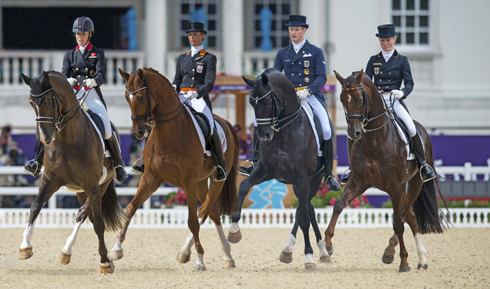weg-dressage-web.jpg