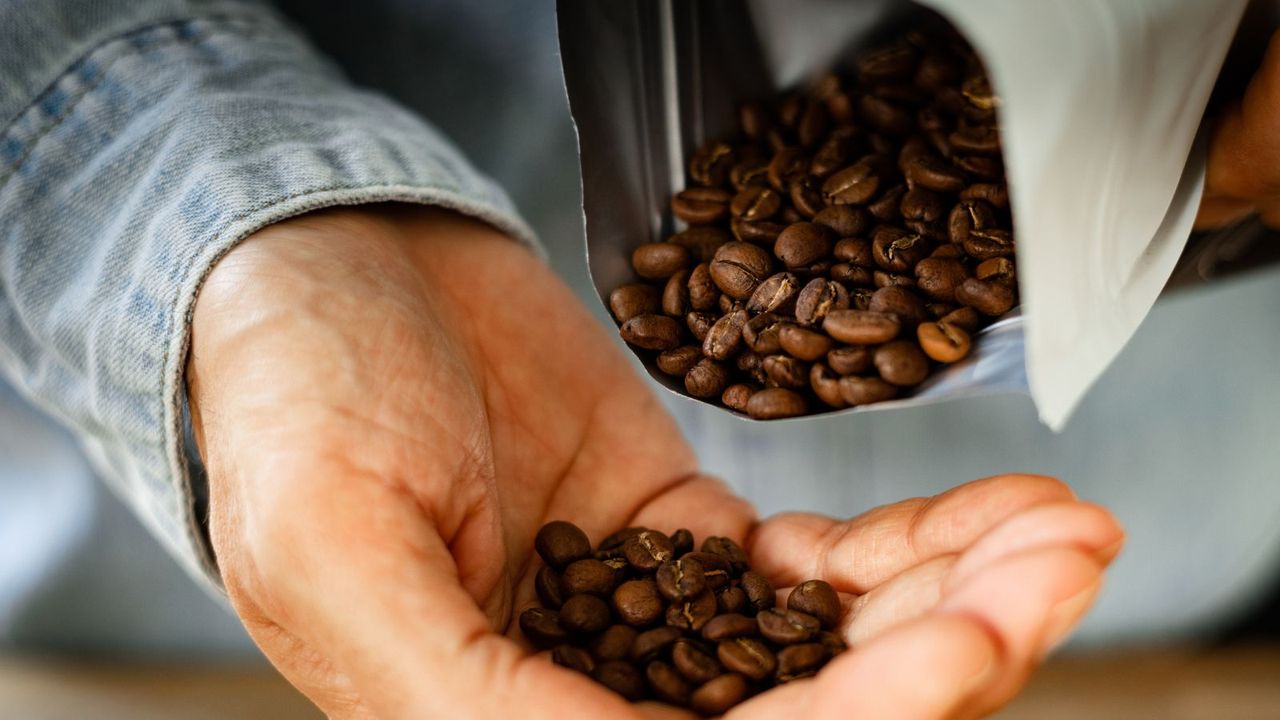 Coffee beans being poured into a hand from a bag of coffee beans