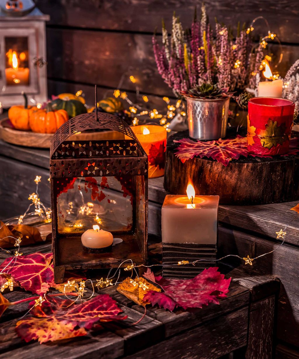 Bonfire Night ideas: 13 ways to celebrate outdoors | Gardeningetc