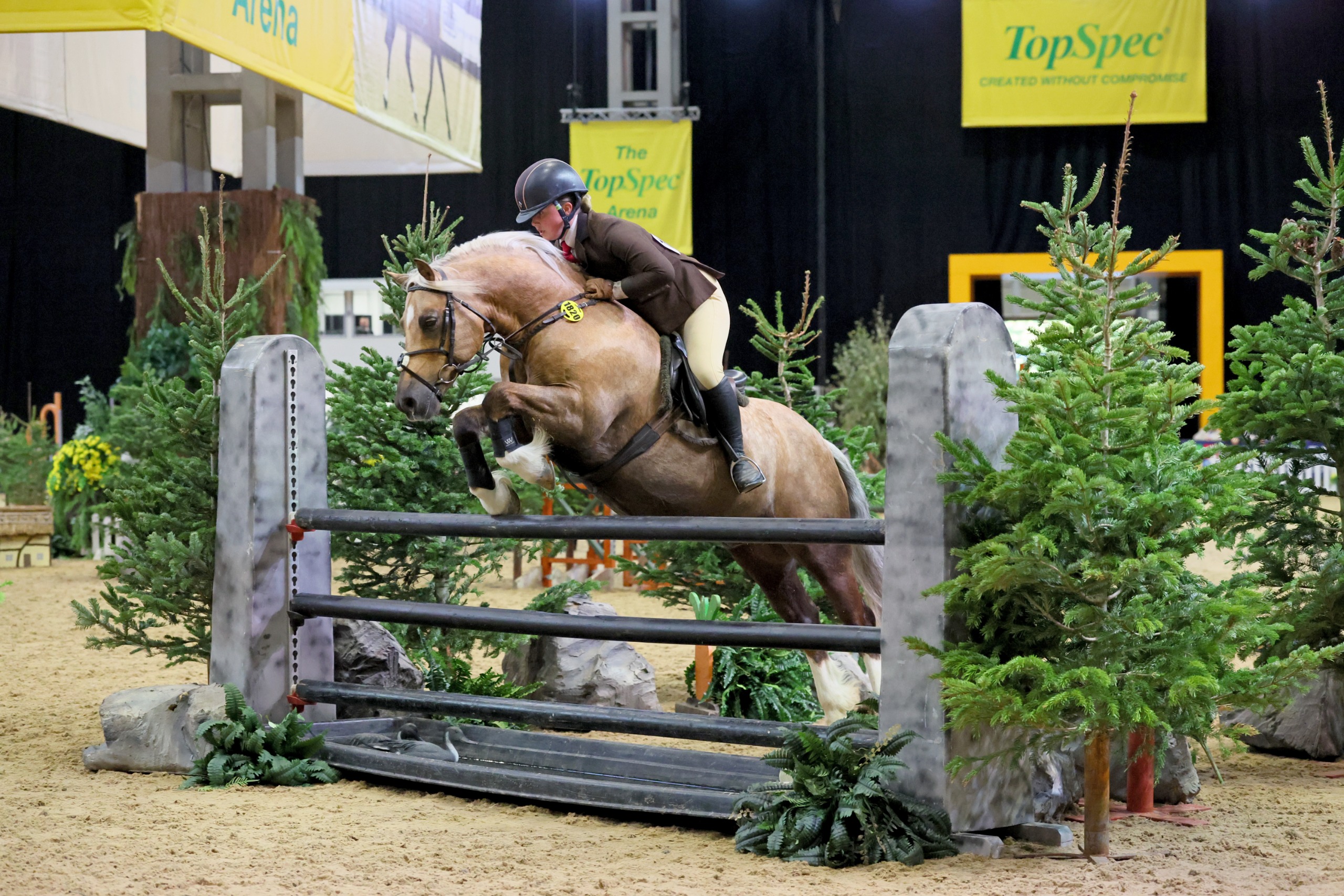 Joyton Sunshine and Ella Eynon jump a green upright with a water tray beneath it at HOYS 2026