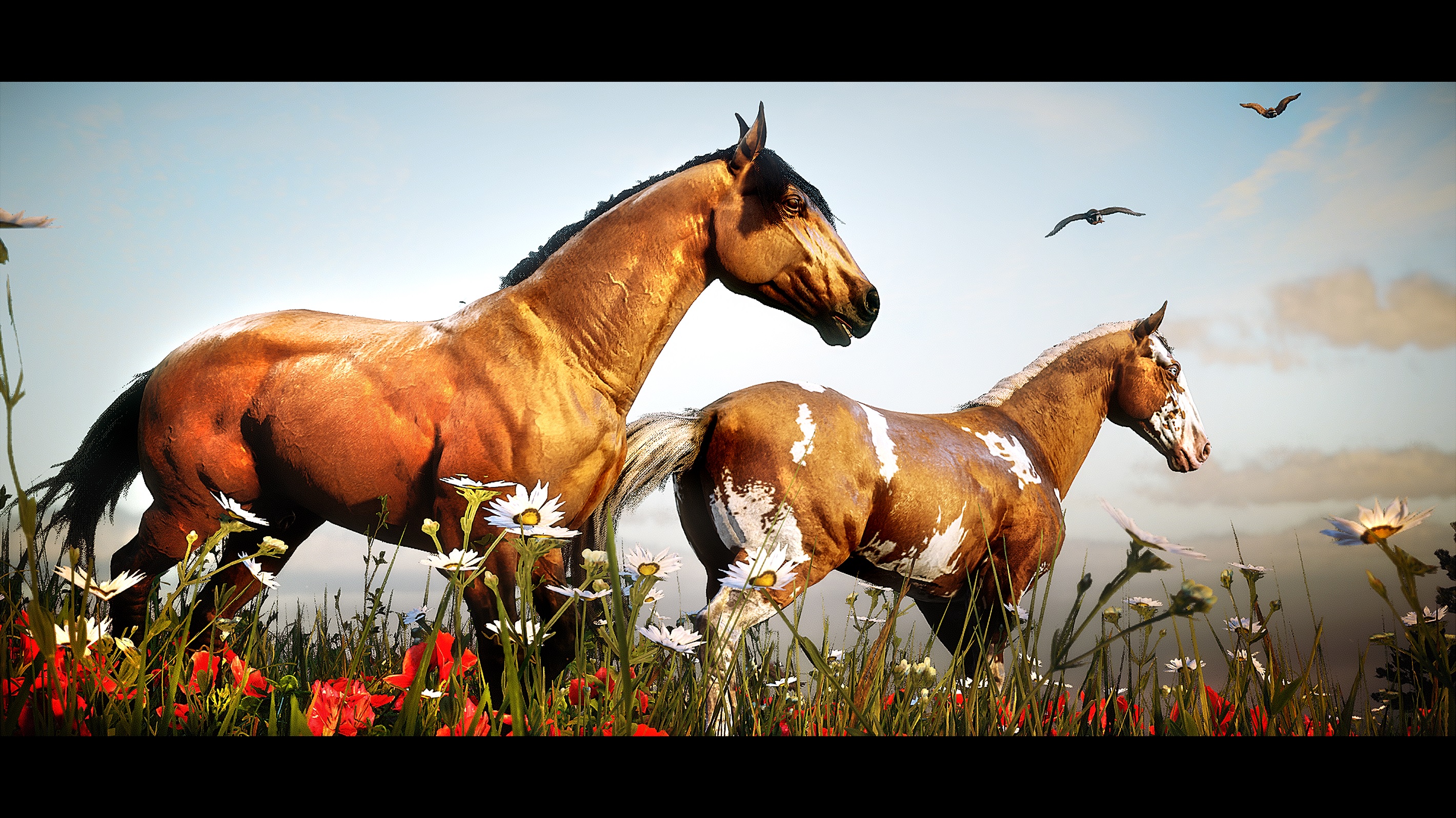 Red Dead Redemption 2 edited in-game photograph of two horses in a field of grass and wildflowers.