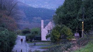 A pink house hidden behind bushes