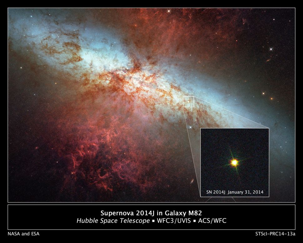 Supernova Photos New Star Explosion in Galaxy M82 Seen by Stargazers