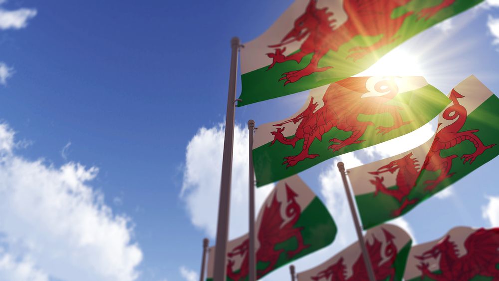 Welsh Flag