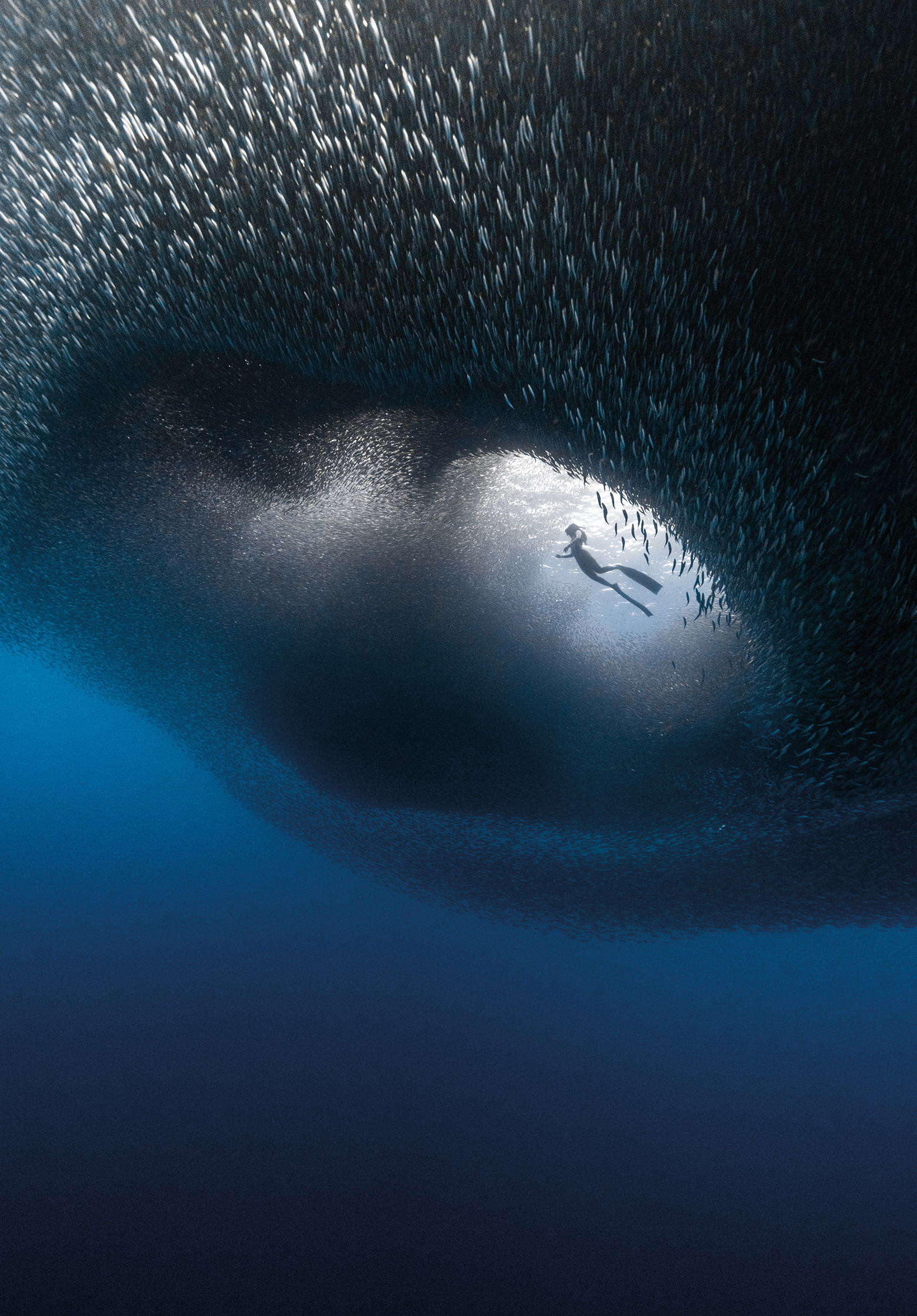 A diver swims beneath a swirling school of fish in deep blue waters, illuminated by a bright beam of sunlight above