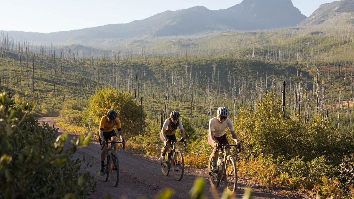 Argonaut GR3 gravel bike