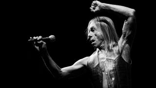 A picture of iggy pop on stage