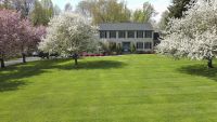 Lush green lawn with apple and cherry trees in the yard of the small residential house