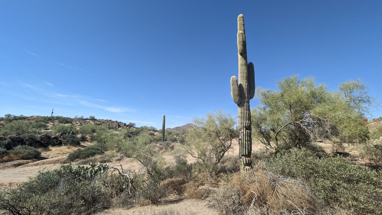Google Pixel 8 Pro review camera sample image