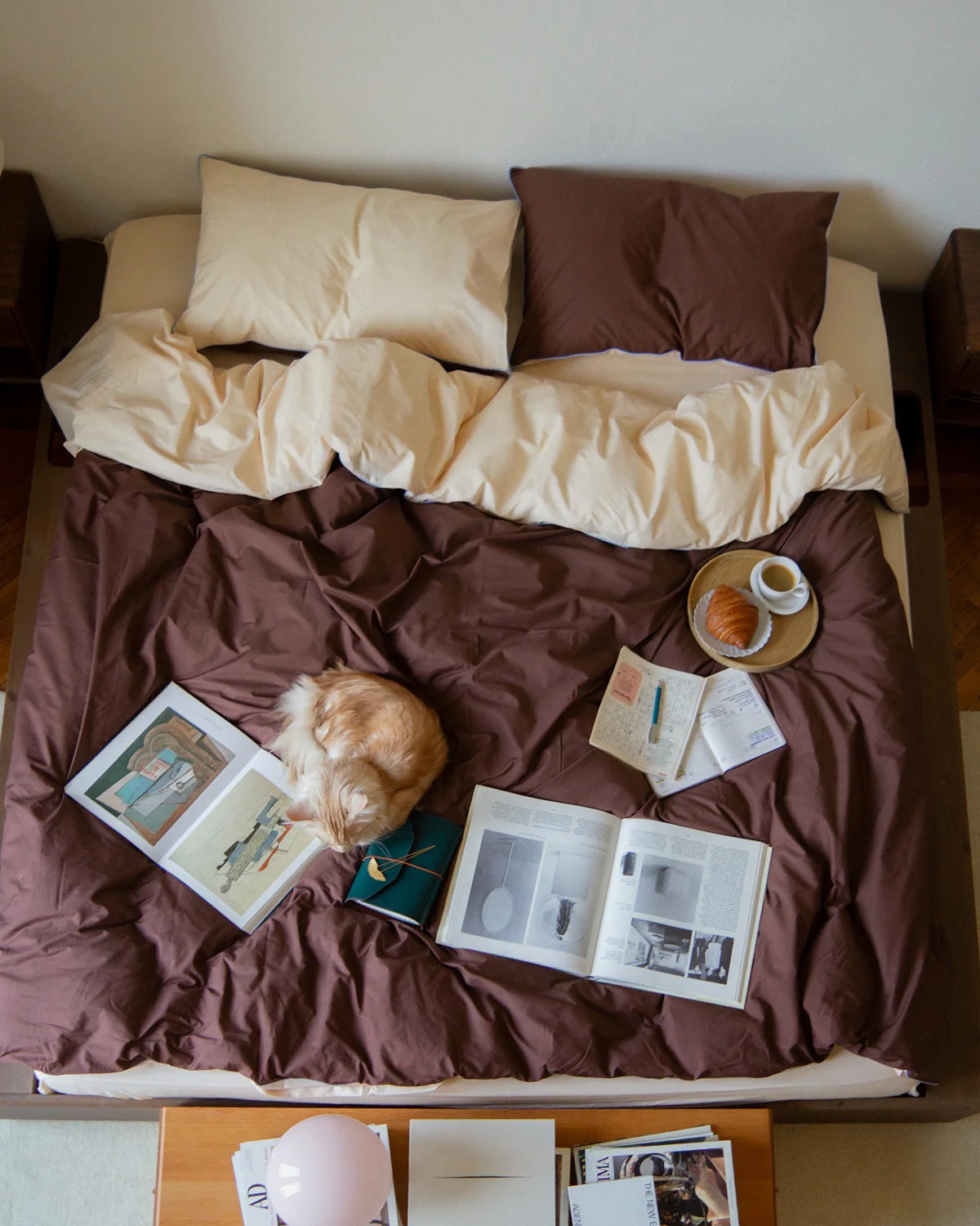A bed from above with brown and cream two-toned bedding that is a bit messy on the bed. There are open books, a tray with a croissant on it, and a cat on the bed.