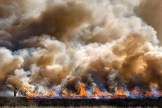 Heather management on the North York Moors by Paul Anthony Wilson / British Photography Awards