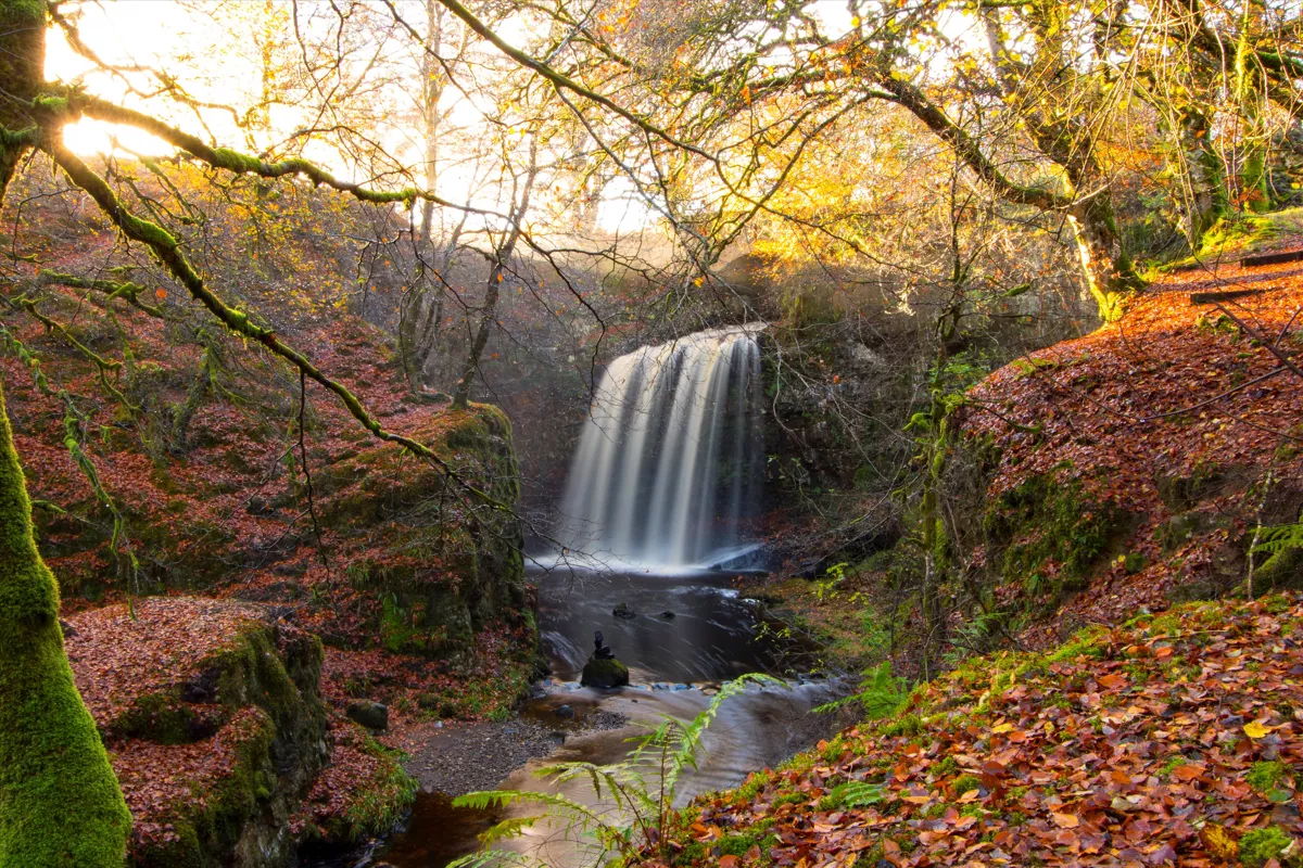 Images of the glorious Craigengillan Estate in Scotland