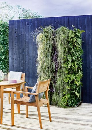 Vertical planting in a modern garden with a black painted fence and wooden dining set