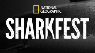 Sharkfest logo