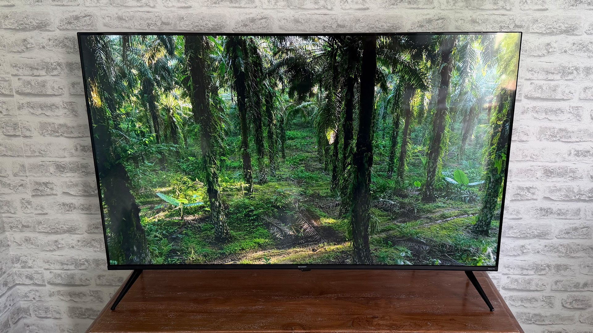 Sharp HJ6725K QLED TV on screen are tropical trees
