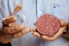 Lab-grown meat from the in-vitro burger is shown.