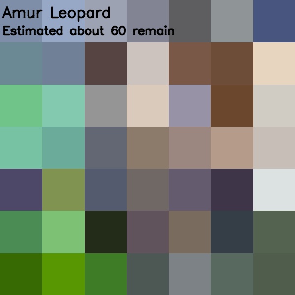 Pixelated images of endanger species