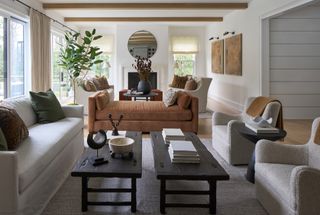 Living room with sofas, chairs, coffee tables and plants