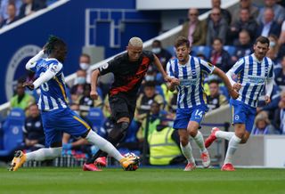 Brighton and Hove Albion v Everton – Premier League – Amex Stadium