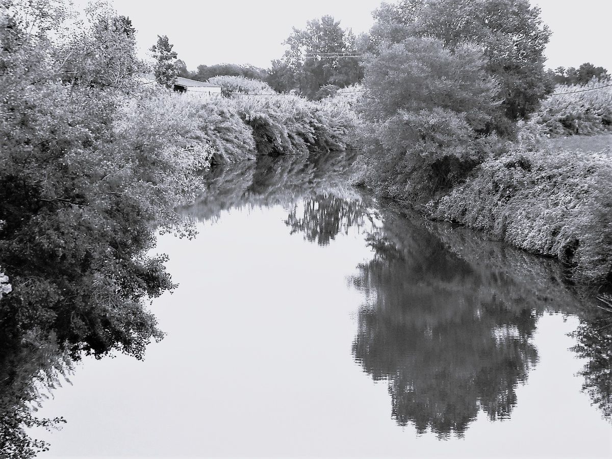 GuruShots - Monochrome Moments Jan 26