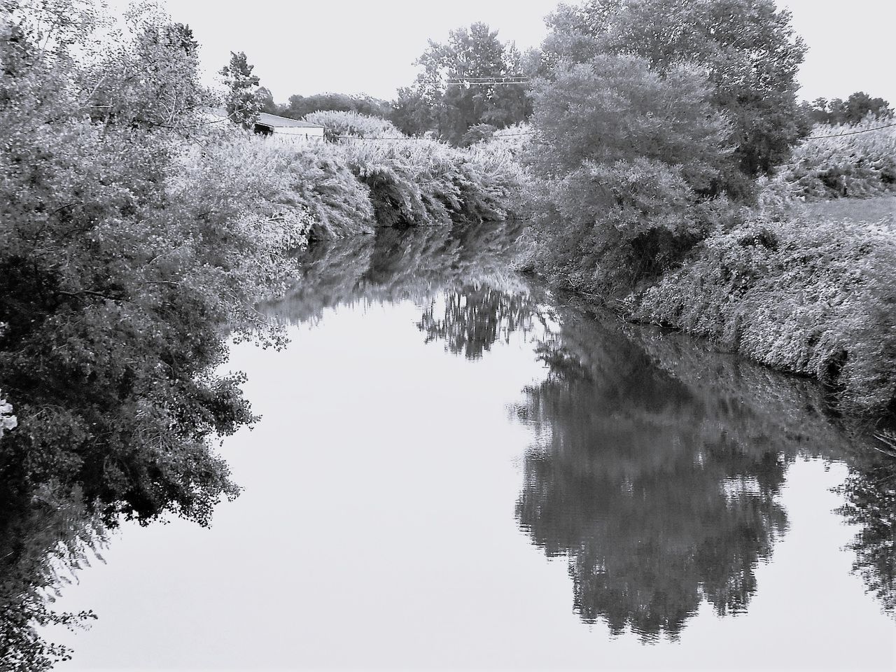 GuruShots - Monochrome Moments Jan 26