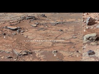 Diversity in Vicinity of Curiosity's First Drilling Target