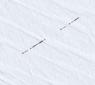 A closer look at part of the convoy in Antarctica, as seen by France's Pleiades satellite.