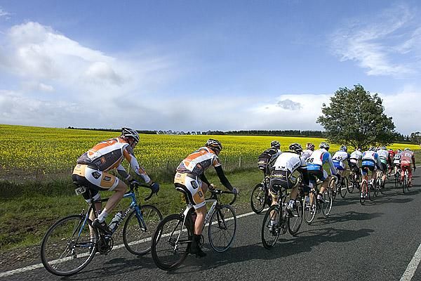 Riders pass canola fields near Cressy on the outskirts of Launceston.